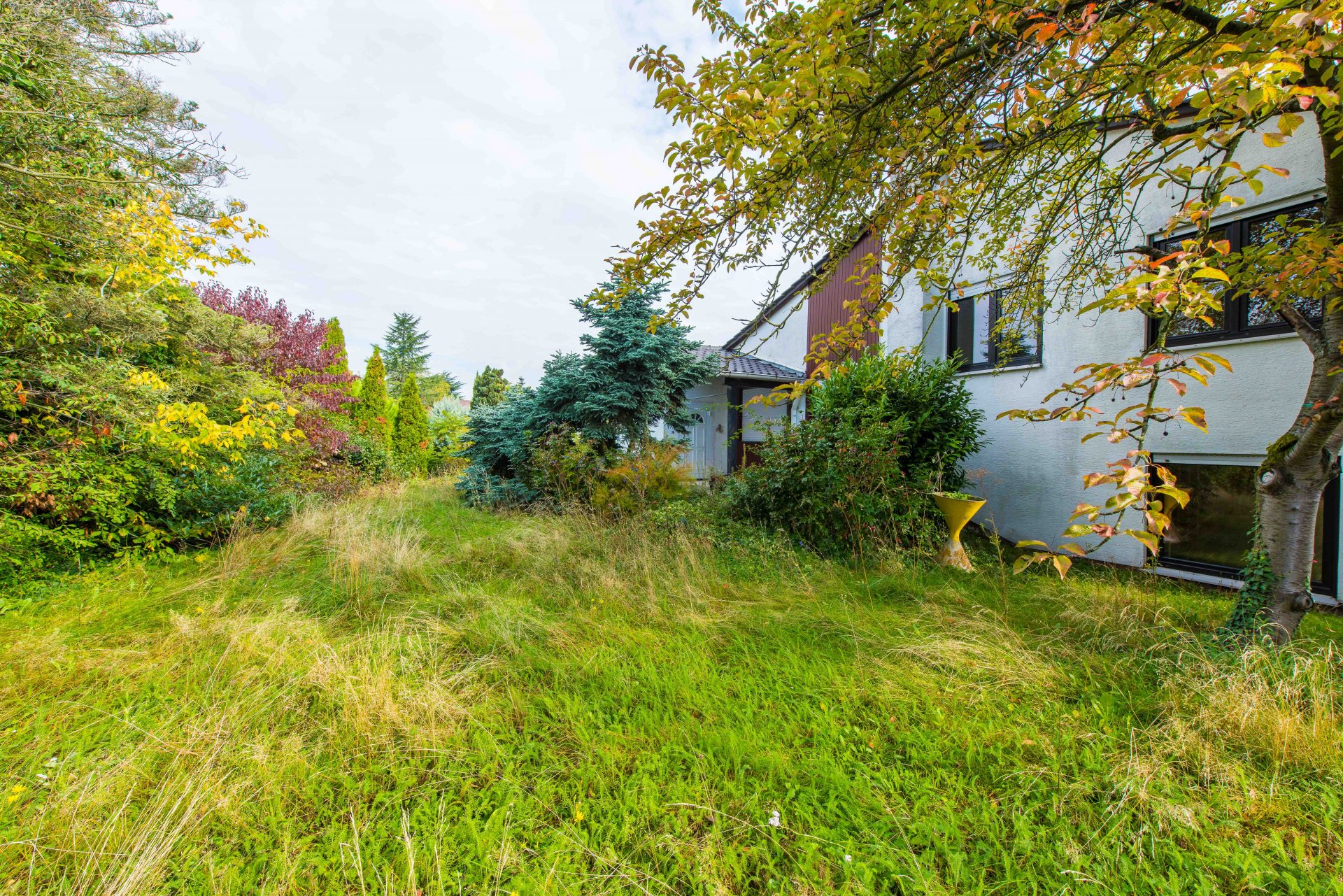 Sehr viel Platz - Oliver Reifferscheid - Immobilienmakler Darmstadt